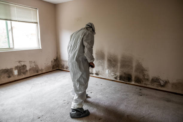 Best Commercial Mold Inspection  in Colonial Pine Hills, SD